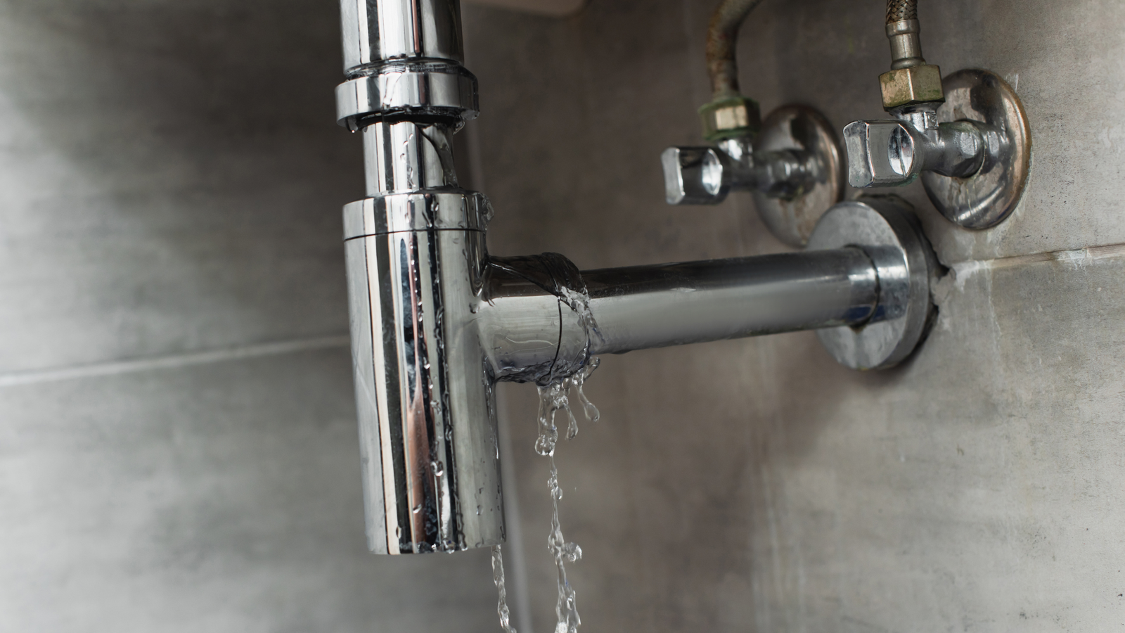 Untitled design – 2026-02-24T191536.641 Untitled design - 2026-02-24T191536.641